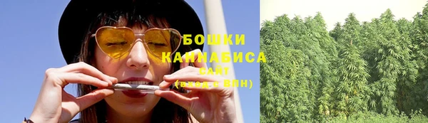 бошки Белокуриха