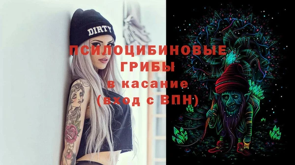 бошки Белокуриха