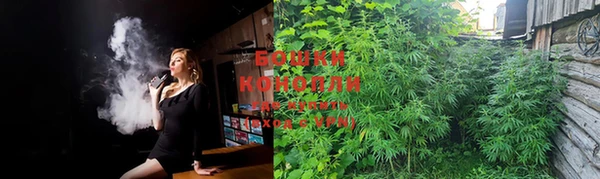бошки Белокуриха