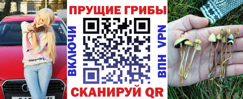 цены наркотик Верея Галлюциногенные грибы Cubensis